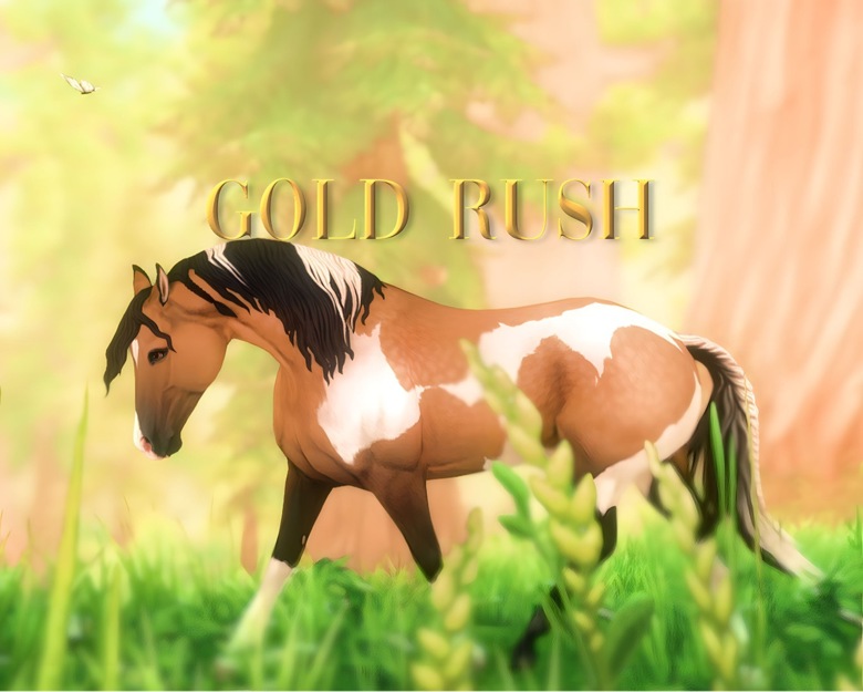 Gold Rush