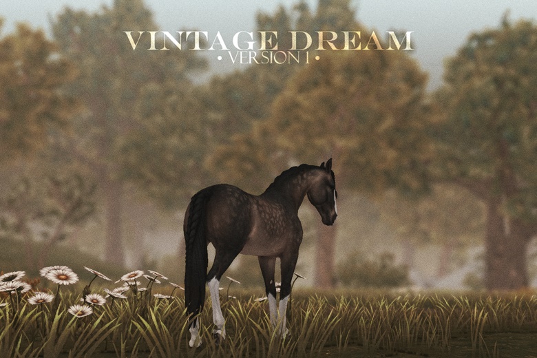 Vintage Dream