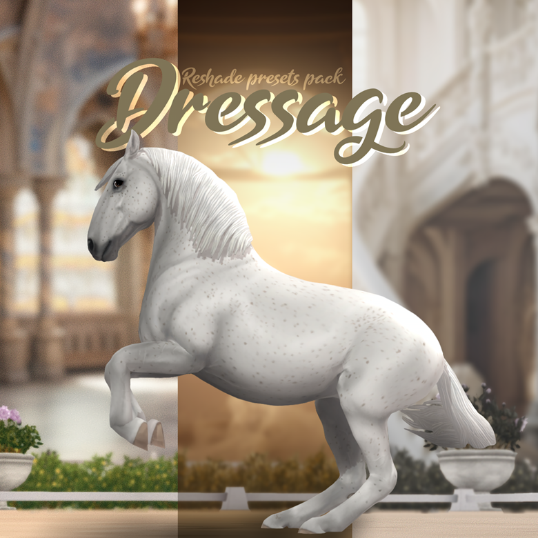 Dressage