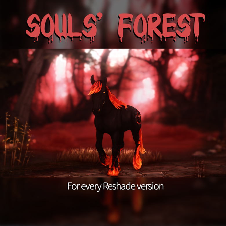 Soul’s Forest