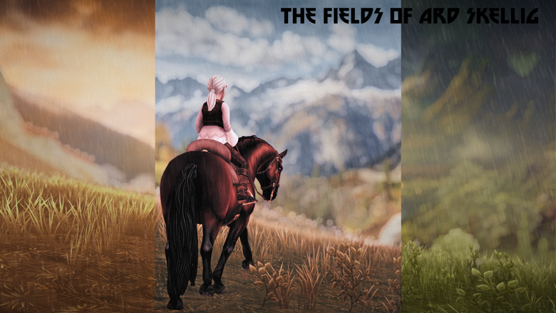 The Fields of Ard Skellig