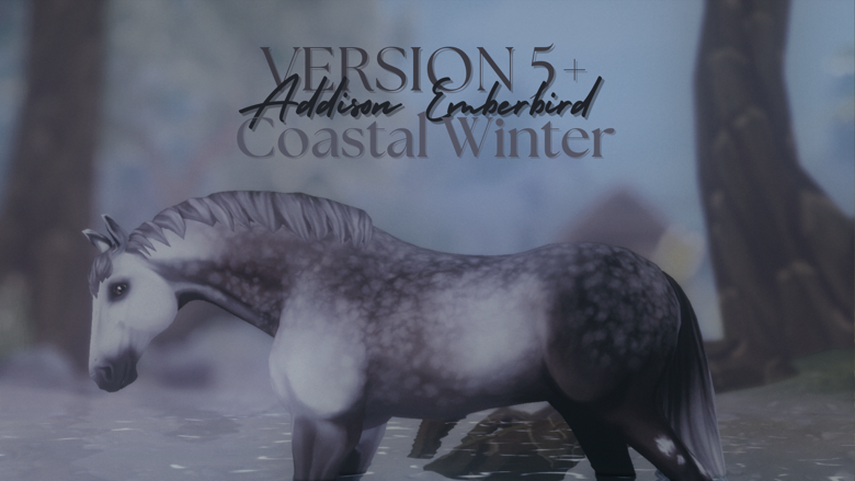 Coastal Winter DARK