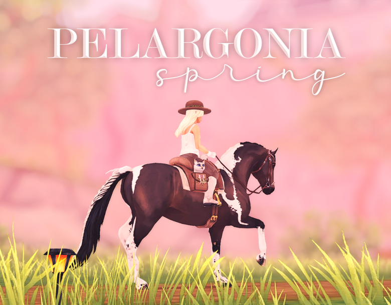 Pelargonia Spring