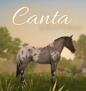 Canta