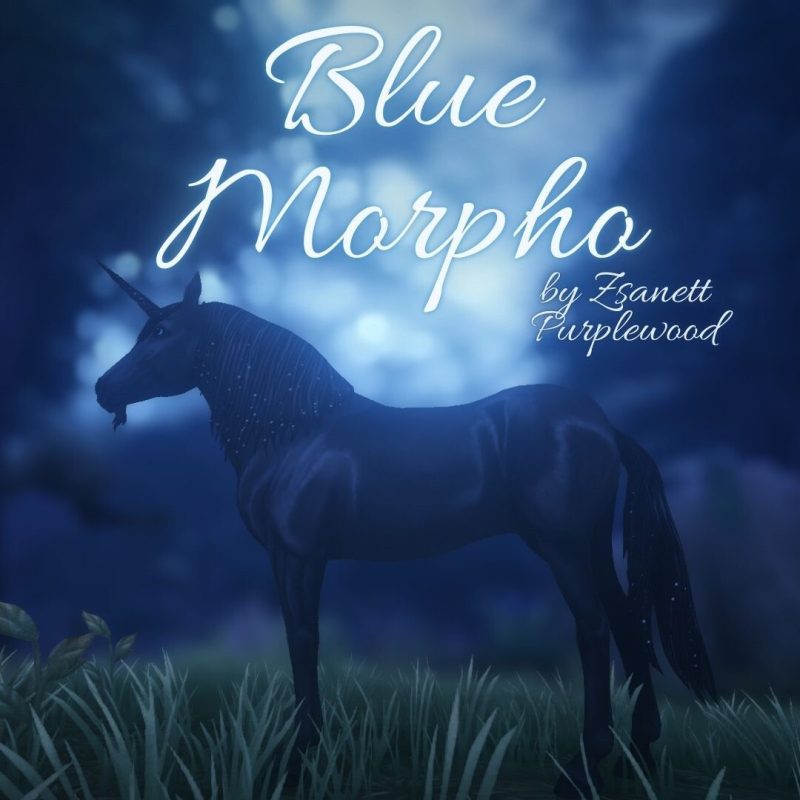 Blue Marpho