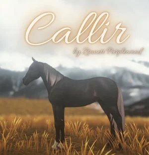 Callir