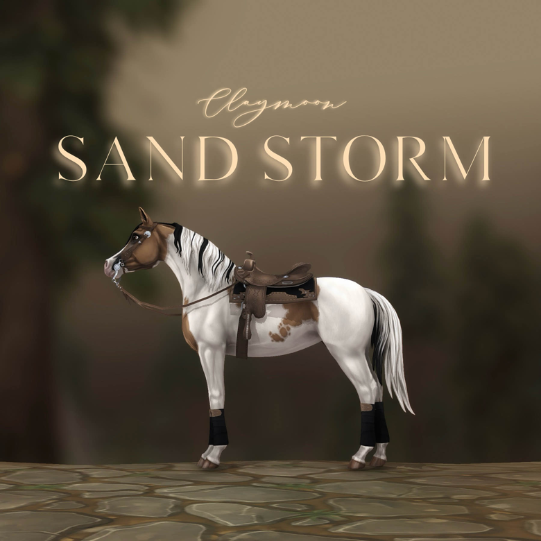 Sand Storm