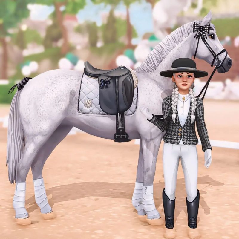 Classy dressage