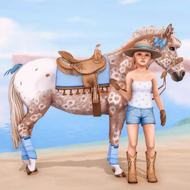 Blue daisy western
