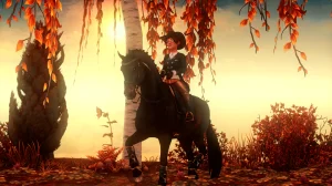 Autumn Sun