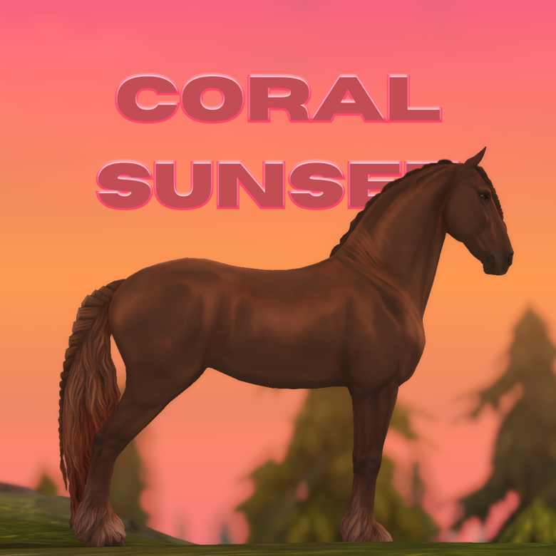 Coral Sunset