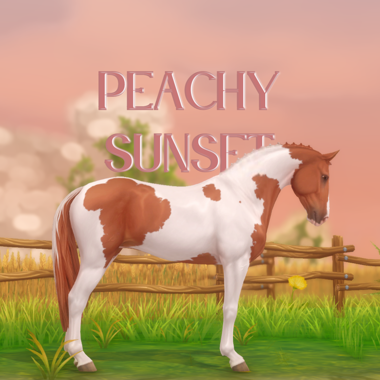 Peachy Sunset