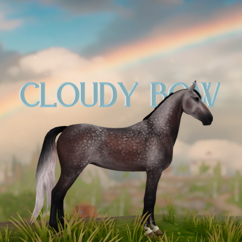 Cloudy Bow