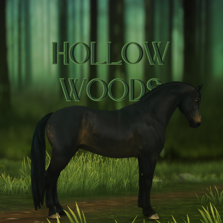 Hollow Woods