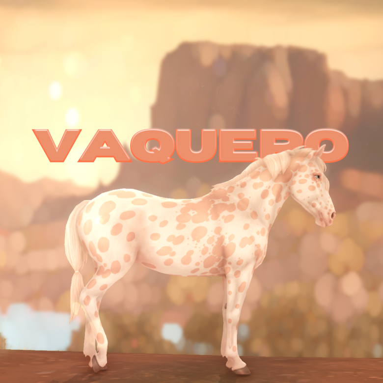 Vaquero