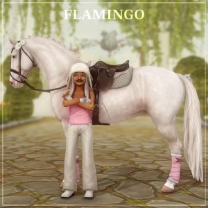 Flamingo