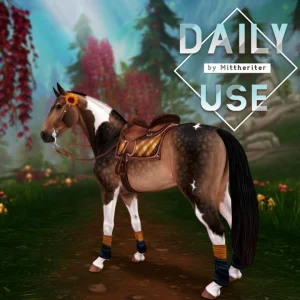Daily Use