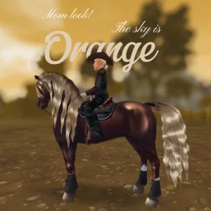 Mom look, the sky is orange for 4.4