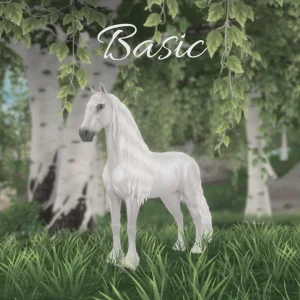Basic