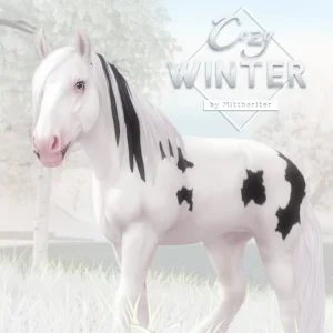 Cozy Winter
