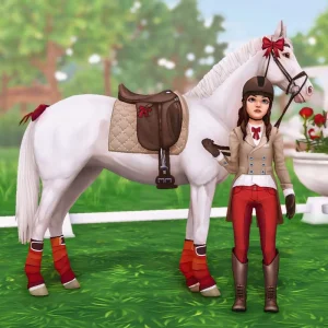 Ruby bow dressage
