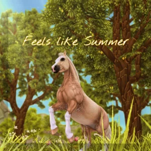 Feels like Summer