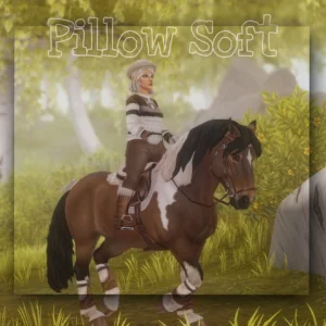 Pillow Soft