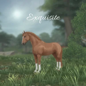 Exquisite