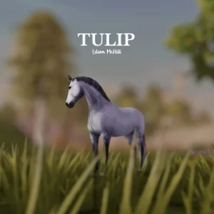Tulip