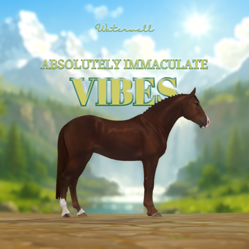 Absolutely Immaculate Vibes