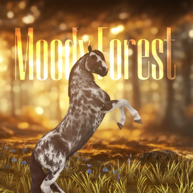 Moody Forest