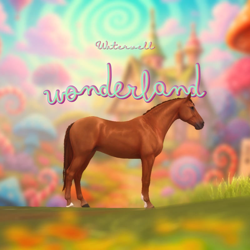 Wonderland