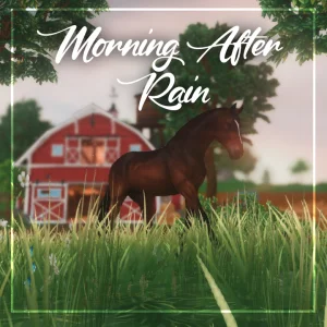 Morning After Rain