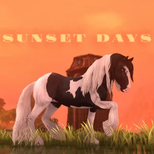 Sunset days