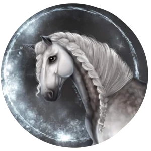 Moon Dreamers Team