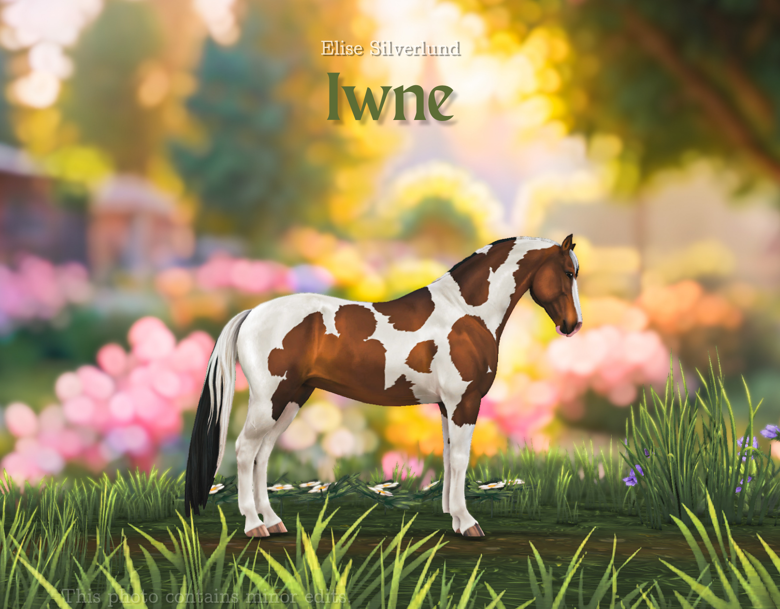 Iwne v4.4