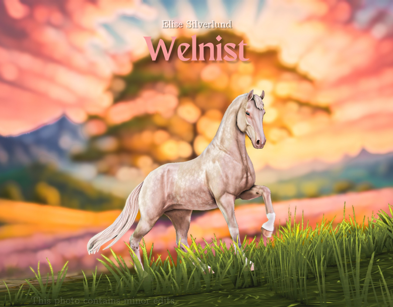 Welnist v4.4