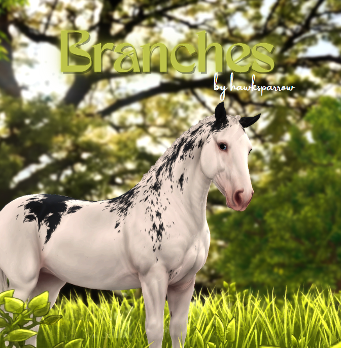 Branches