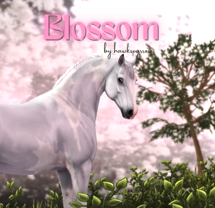 Blossom