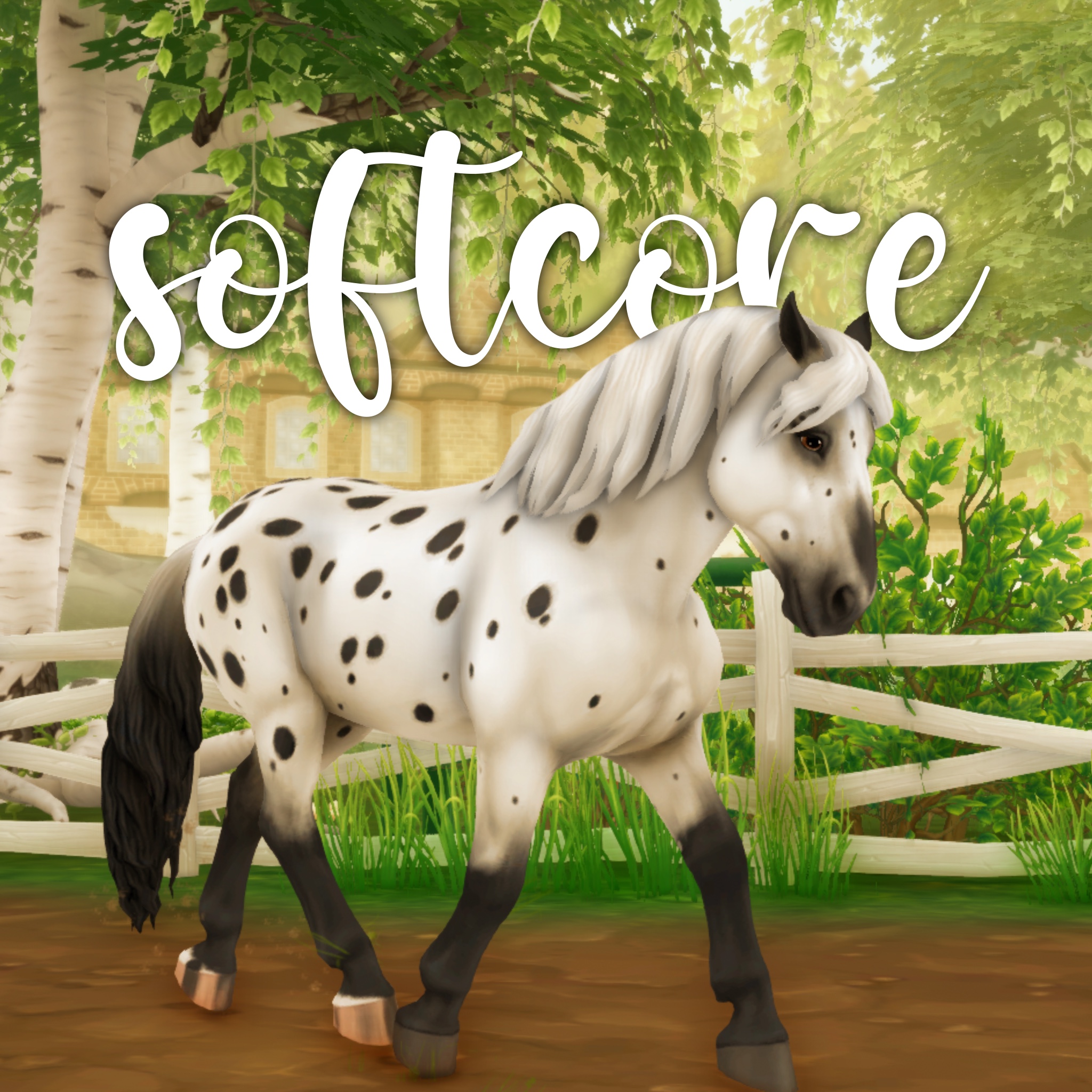 Softcore