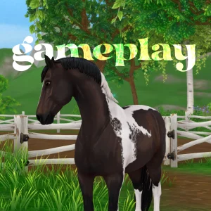 Gameplay