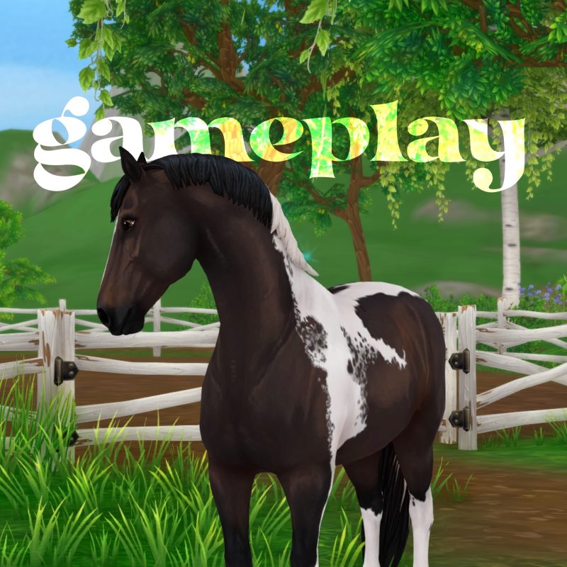 Gameplay