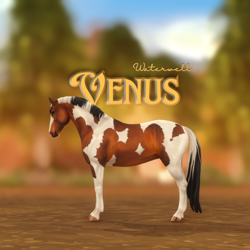 Venus