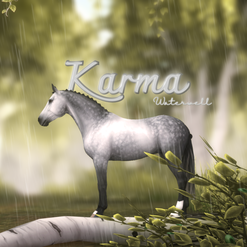 Karma