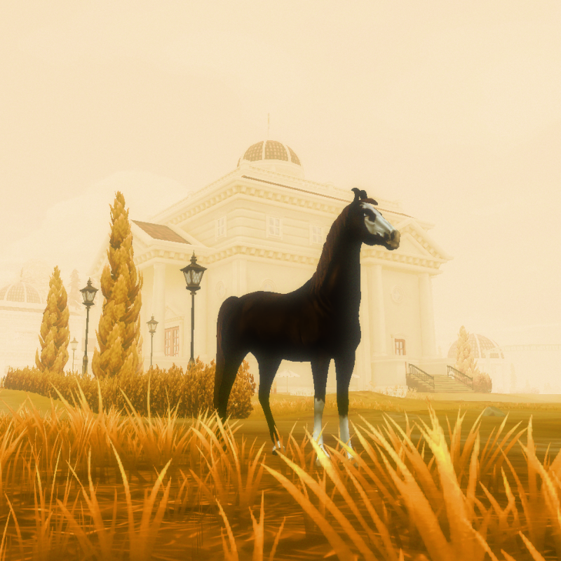 Golden Mist