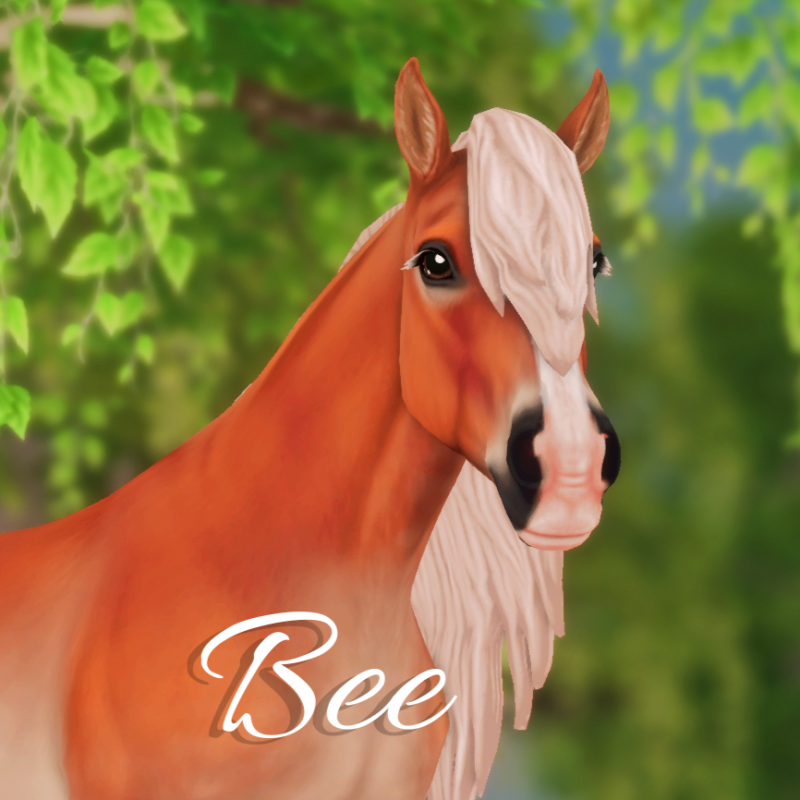 Bee