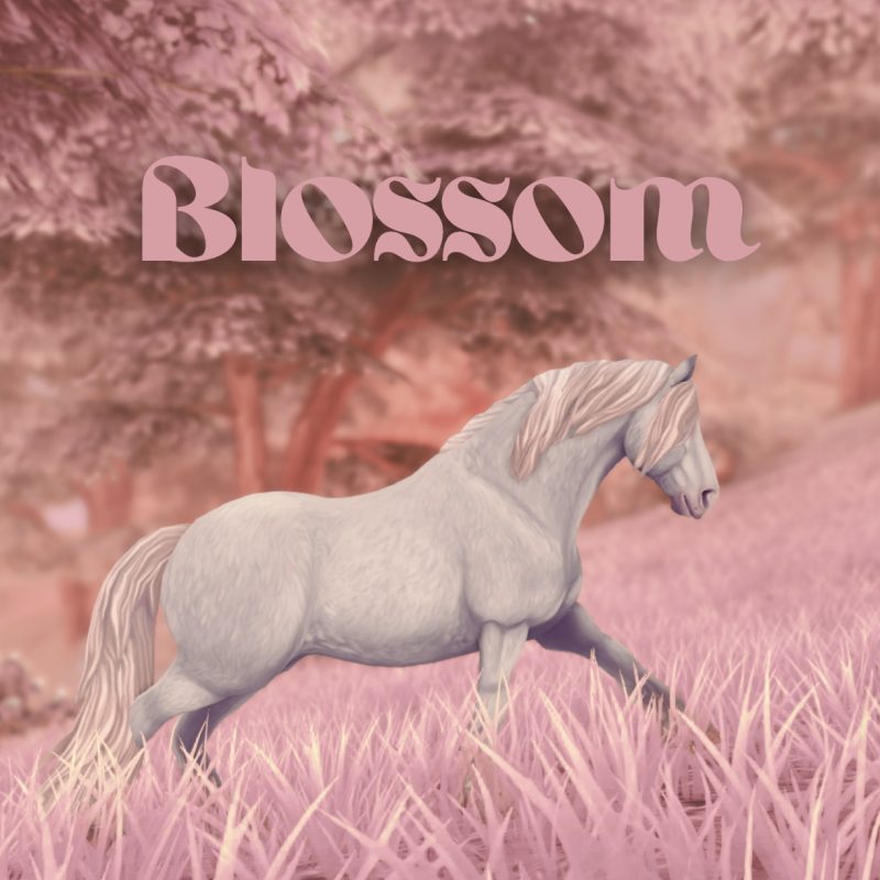 Blossom