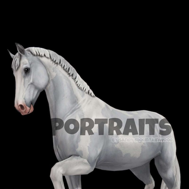 Portraits