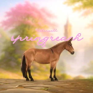 Springreach