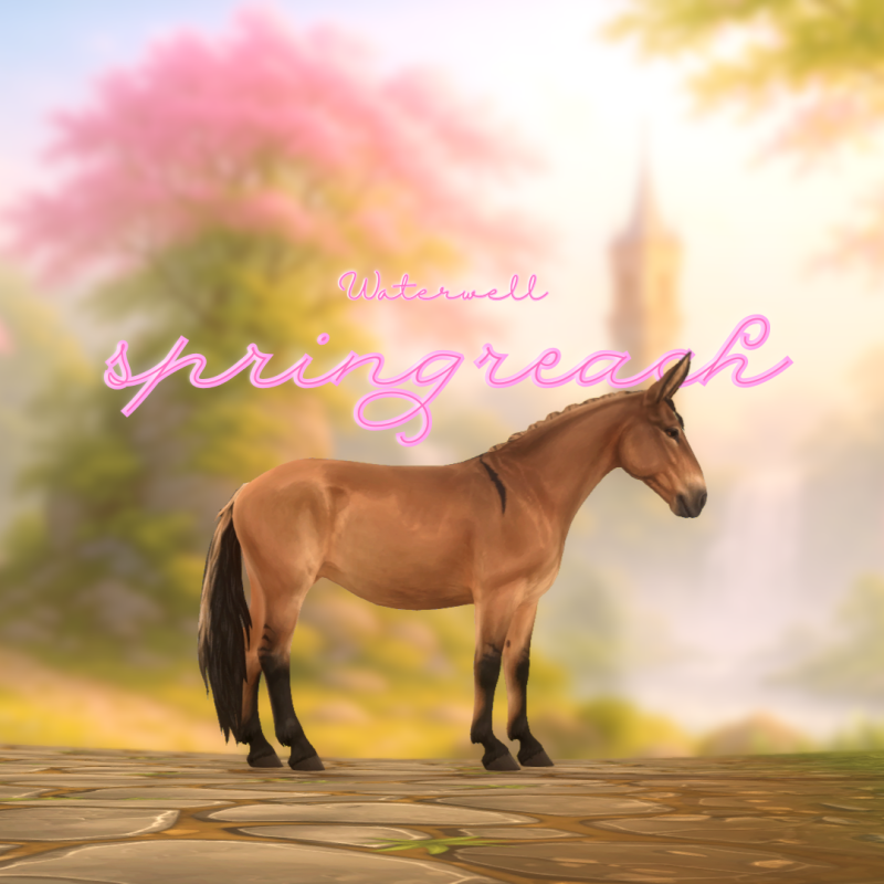 Springreach